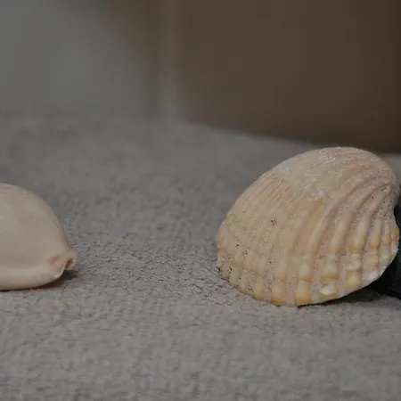 Acogedor En La Playa 法马拉